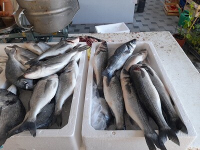 Tržnica u Biogradu na Moru Tržnica u Biogradu na Moru