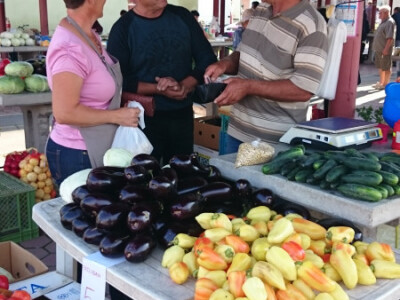 Pejo Ćosić i Đuro Gregorić