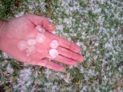 Tuča potukla nasade bajama Jerka Majića Tuča potukla nasade bajama Jerka Majića