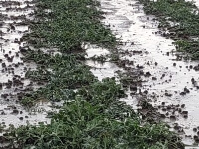 Tuča u dolini Neretve