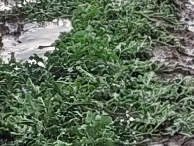 Tuča u dolini Neretve