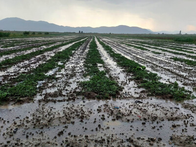Tuča u dolini Neretve