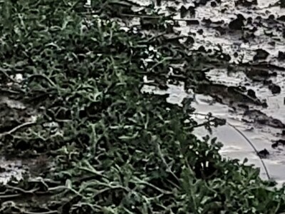 Tuča u dolini Neretve