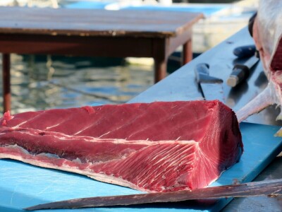 TUNAFEST - filetiranje tune na molu