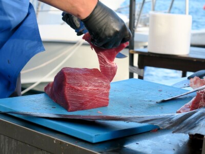 TUNAFEST - filetiranje tune na molu