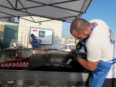 TUNAFEST - filetiranje tune na molu