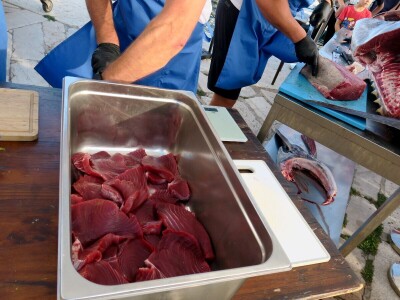 TUNAFEST - filetiranje tune na molu