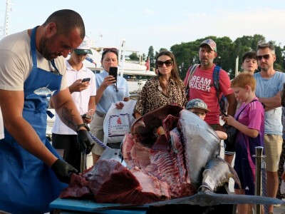 TUNAFEST - filetiranje tune na molu