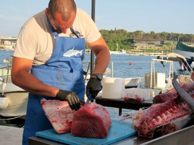 TUNAFEST - filetiranje tune na molu