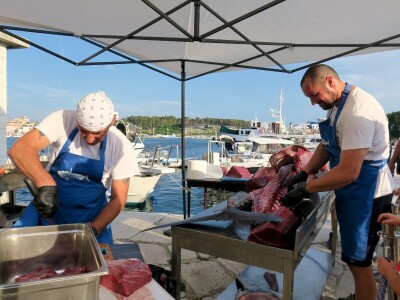 TUNAFEST - filetiranje tune na molu