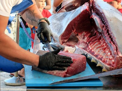 TUNAFEST - filetiranje tune na molu