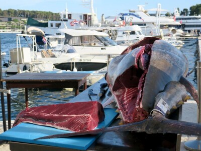 TUNAFEST - filetiranje tune na molu