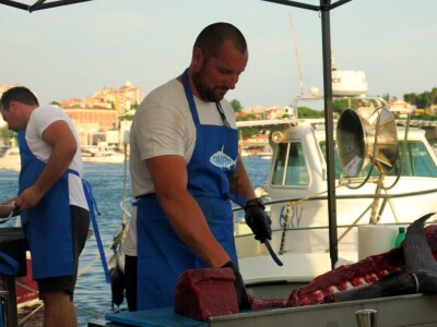 TUNAFEST - filetiranje tune na molu