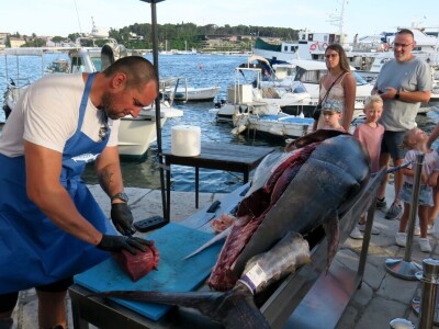 TUNAFEST - filetiranje tune na molu