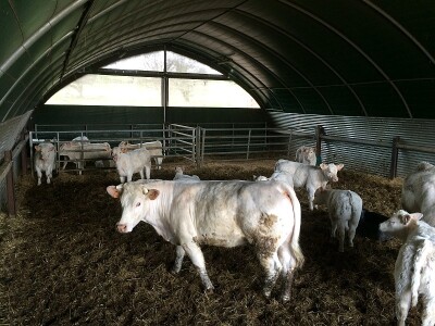 RCY-poljoprivreda (tuneli, pregrade i zavese, geomembrane, retencijski bazeni)