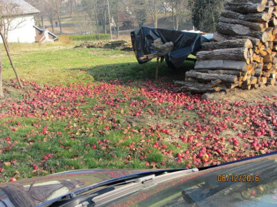 Hoće li to netko pokupiti Hoće li to netko pokupiti