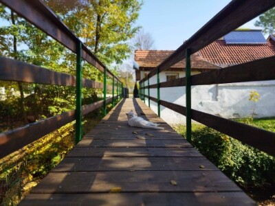 Turiste privlači priroda, manastiri i domaća hrana