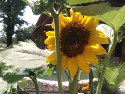 Turistički kompleks "Mala priča" - samo za strane turiste Turistički kompleks "Mala priča" - samo za strane turiste