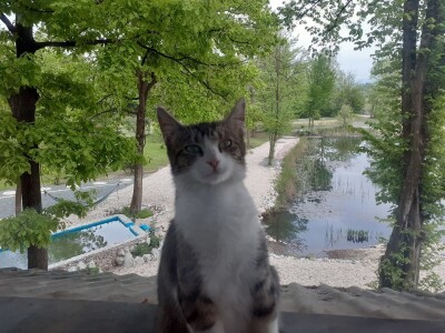 Turistički kompleks "Mala priča" - samo za strane turiste Turistički kompleks "Mala priča" - samo za strane turiste