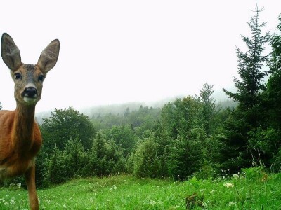 Turistički motiv Lovinca