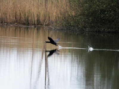 Turizam u Osječko-baranjskoj županiji
