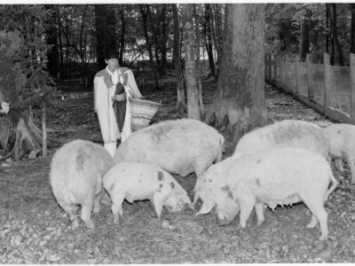 U EU projektu očuvanja gena i hrvatske pasmine svinja