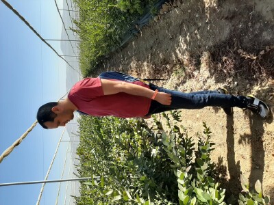 Turska ide u proširenje zasada pod borovnicom