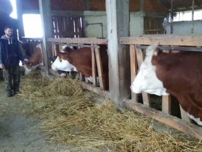 Uspješno povezali stočarstvo i ratarstvo