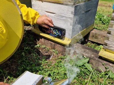 Tvrtka Agro Simpa provela je istraživanje u pčelarstvu