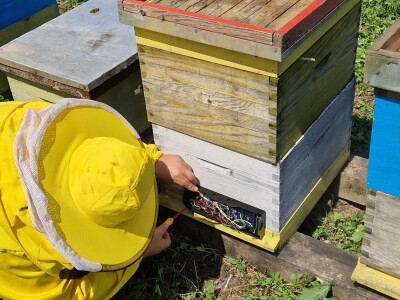 Tvrtka Agro Simpa provela je istraživanje u pčelarstvu