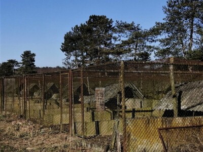 Tvrtka Ecoagro obnovila uzgoj fazana na fazaneriji kod Majerja