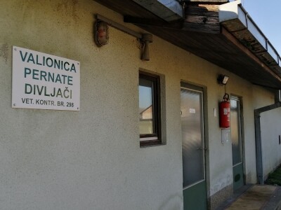 Tvrtka Ecoagro obnovila uzgoj fazana na fazaneriji kod Majerja