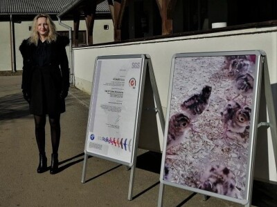 Tvrtka Ecoagro obnovila uzgoj fazana na fazaneriji kod Majerja