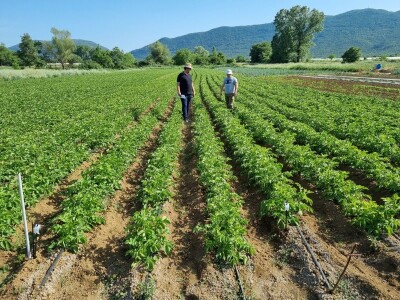 Tvrtka PEST PRO otvorila tehnički ured u Sigecu Ludbreškom