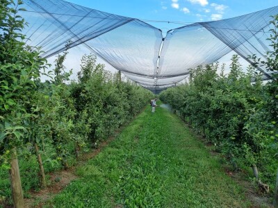 Tvrtka PEST PRO otvorila tehnički ured u Sigecu Ludbreškom