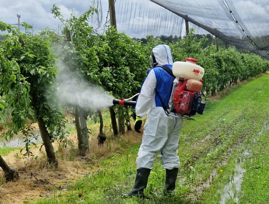 prskanje pest pro