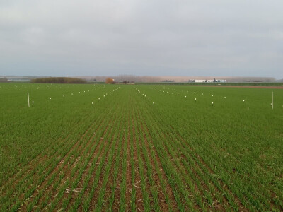 Tvrtka PEST PRO slavi 10 godina djelovanja