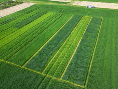 Tvrtka PEST PRO slavi 10 godina djelovanja