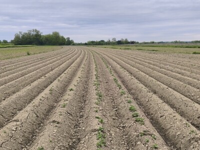 Tvrtka PEST PRO slavi 10 godina djelovanja