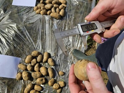 Tvrtka PEST PRO slavi 10 godina djelovanja