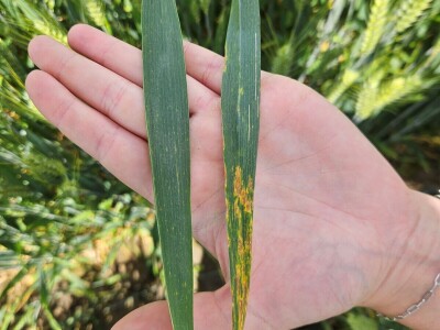 Tvrtka PEST PRO slavi 10 godina djelovanja