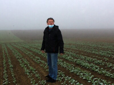 Twin row uljana repica i suncokret Twin row uljana repica i suncokret