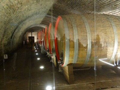 U Baranji 22. 1. 2019. obilježena tradicionalna Vinceška