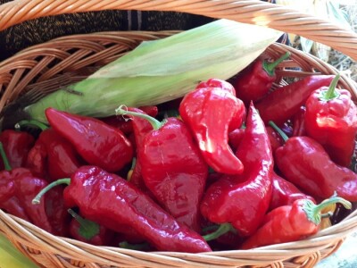 U Beloj Palanci svi vole vrtke