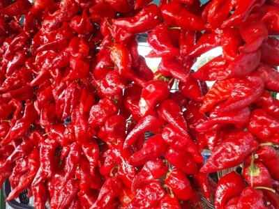 U Beloj Palanci svi vole vrtke