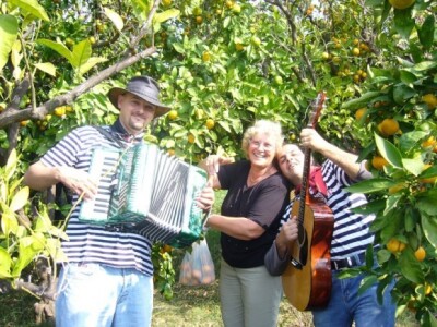 Mandarine se lakše beru uz svirku i pjesmu, uz to i kušaju