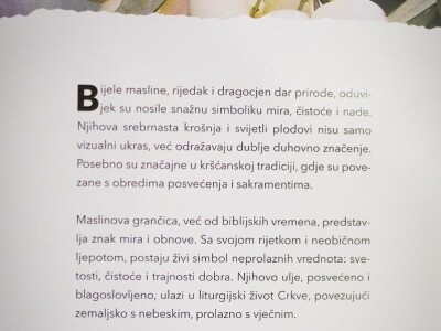 U Bijelom polju časne sestre franjevke posadile 33 bijele masline!