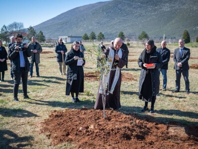 U Bijelom polju časne sestre franjevke posadile 33 bijele masline!