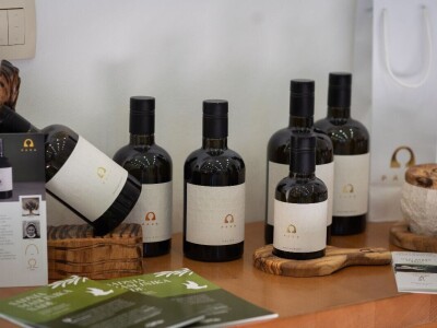 U Bijelom polju časne sestre franjevke posadile 33 bijele masline!