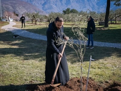 U Bijelom polju časne sestre franjevke posadile 33 bijele masline!